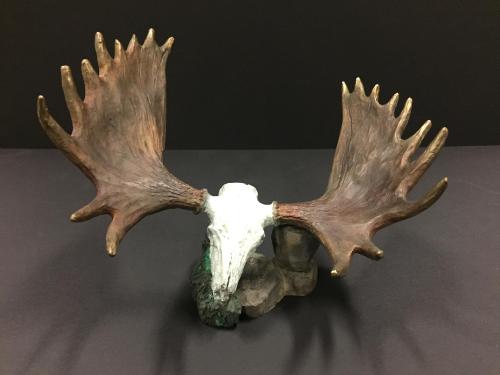 Moose (European mount skull)