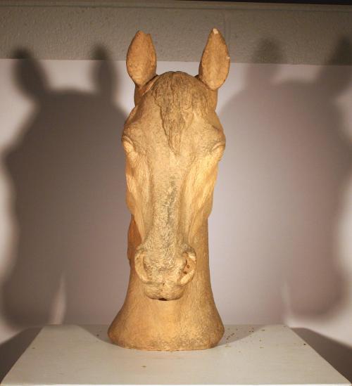 Liana (head of Arabian mare)