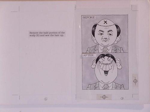 The Bald Book - Illustration board, pages 6-7