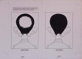 The Bald Book - Illustration board, pages 46-47