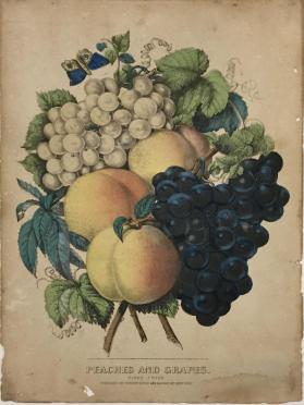 Peaches and Grapes